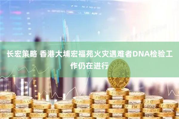 长宏策略 香港大埔宏福苑火灾遇难者DNA检验工作仍在进行